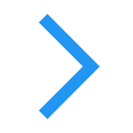 Next SVG Icon